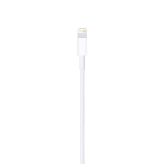 Apple Lightning To USB A Cable