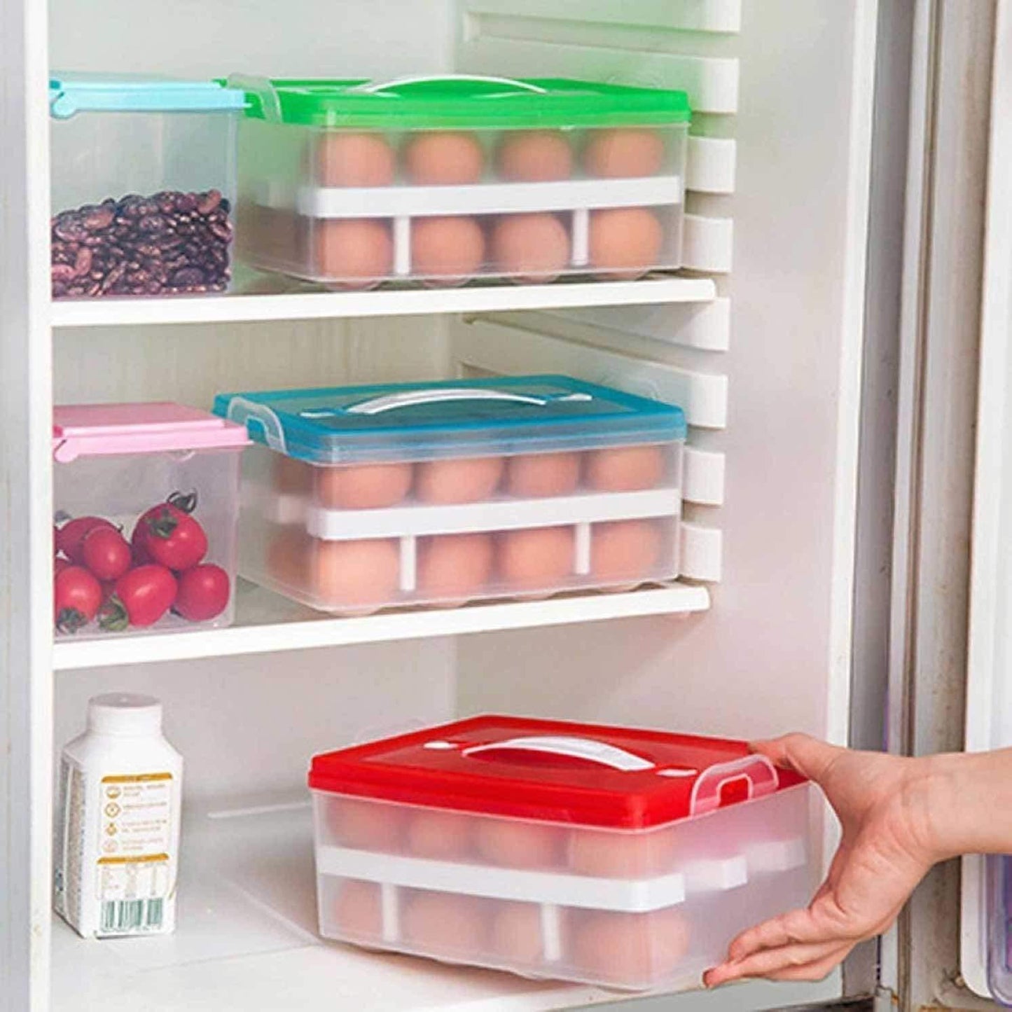 Double Layer Egg Storage Box ( Fits 24 eggs )