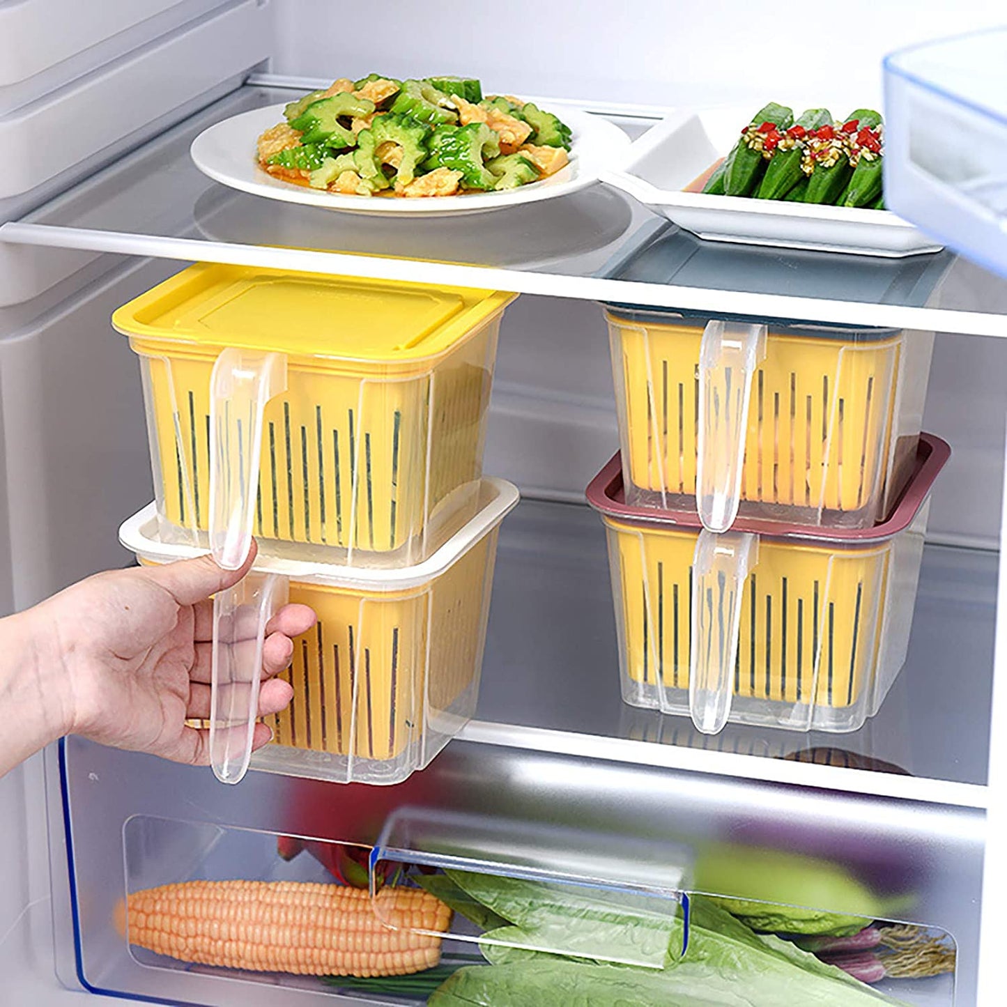 Transparent Food Storage Box Sealed With Lid & Handle