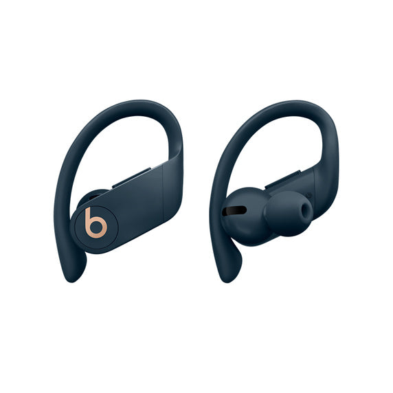 Beats Powerbeats Pro True Wireless Earphones